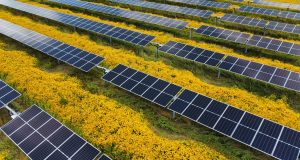 53936962772_596d81fffa_o_0